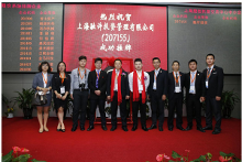 红豆股份：公司2024年12月31日及2025年3月31日的